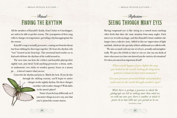 Produktbild: The Illustrated Bestiary
