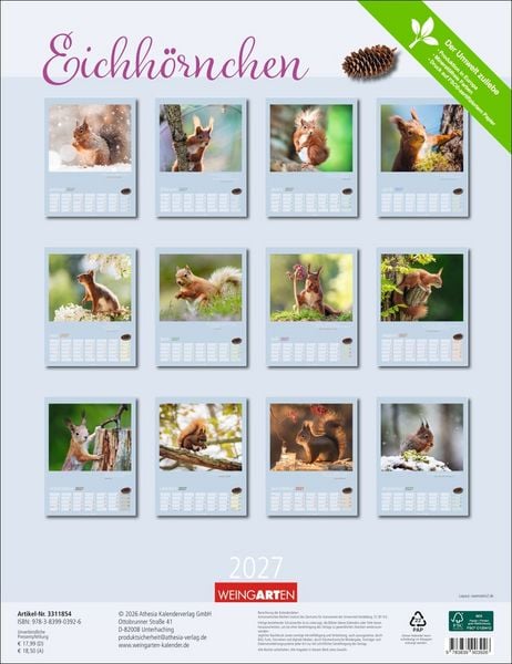Produktbild: Eichh&ouml;rnchen Kalender 2027