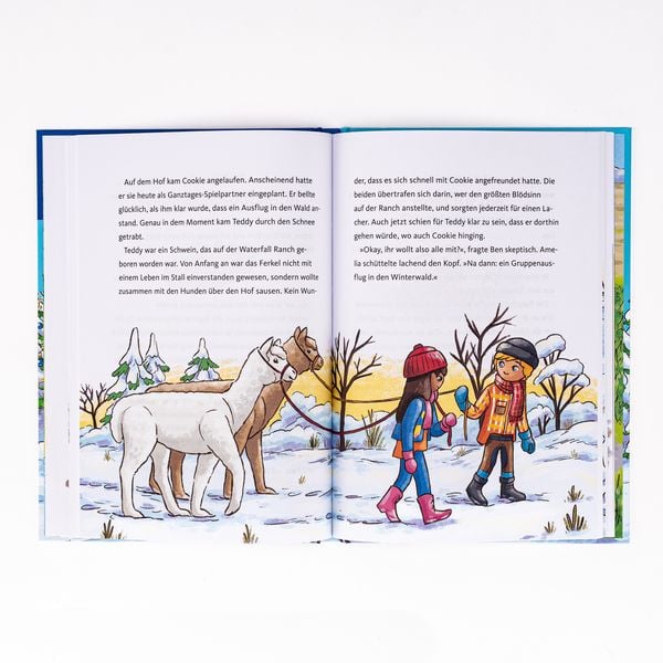 Produktbild: PLAYMOBIL Horses of Waterfall. Weihnachtswunder auf dem Reiterhof