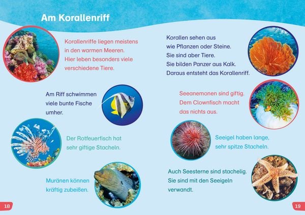 Produktbild: WAS IST WAS Erstes Lesen easy! Tiere im Meer