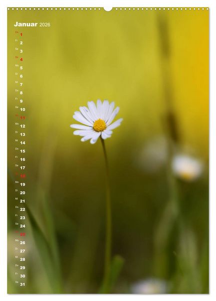 Produktbild: Colors of Nature (Wandkalender 2026 DIN A2 hoch), CALVENDO Monatskalender