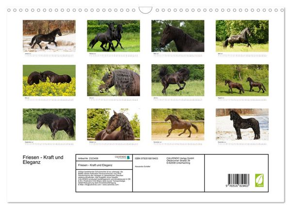 Produktbild: Friesen - Kraft und Eleganz (Wandkalender 2027 DIN A3 quer), CALVENDO Monatskalender