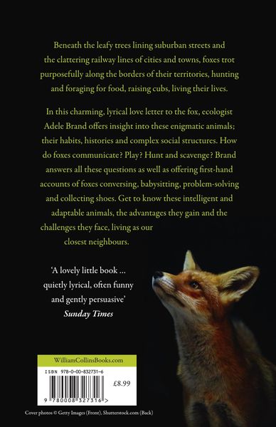 Produktbild: The Hidden World of the Fox