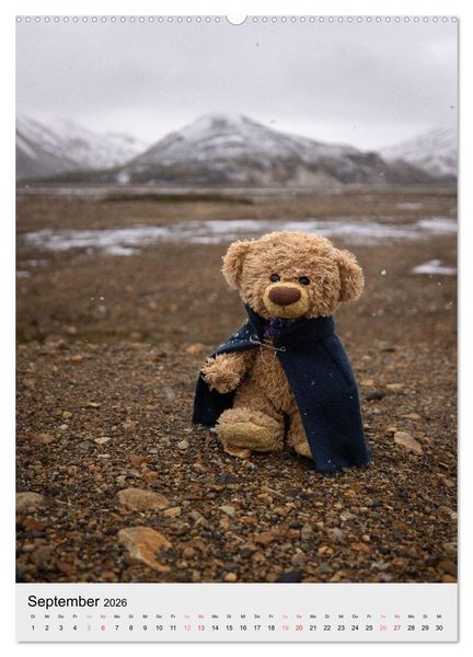 Produktbild: Travelling Teddy in Island (hochwertiger Premium Wandkalender 2026 DIN A2 hoch), Kunstdruck in Hochglanz
