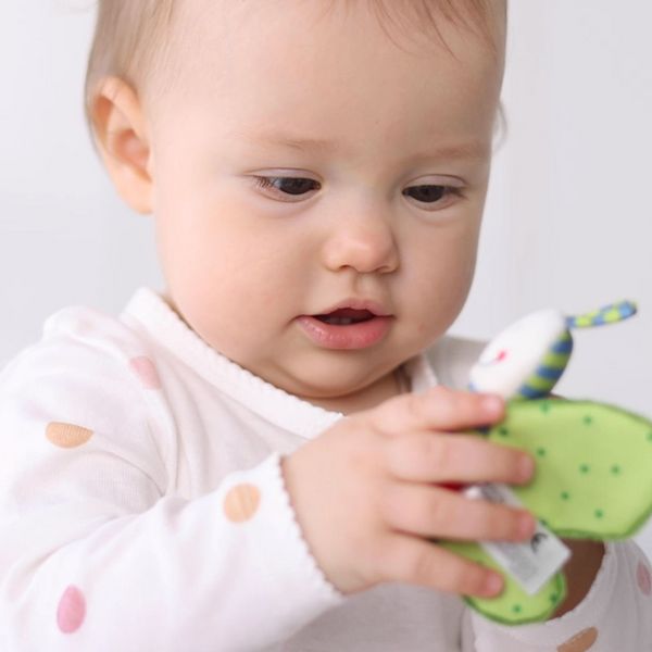 Produktbild: sigikid 41179 - Greifling Schmetterling gr&uuml;n Kinderbunt