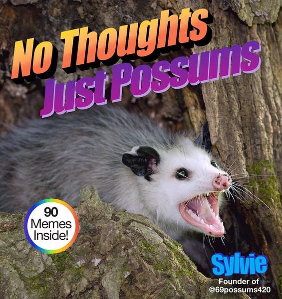 Produktbild: No Thoughts Just Possums
