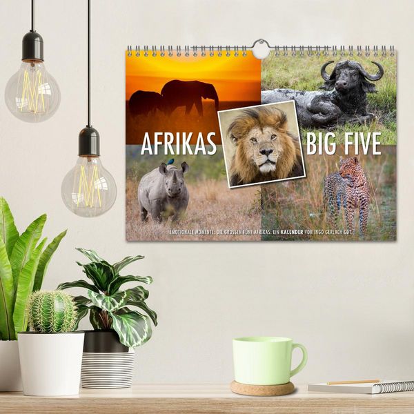 Produktbild: Emotionale Momente: Afrikas Big Five (Wandkalender 2026 DIN A4 quer), CALVENDO Monatskalender