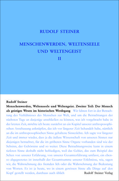 Produktbild: Menschenwerden, Weltenseele und Weltengeist. Der Mensch als geistiges Wesen im historischen Werdegang