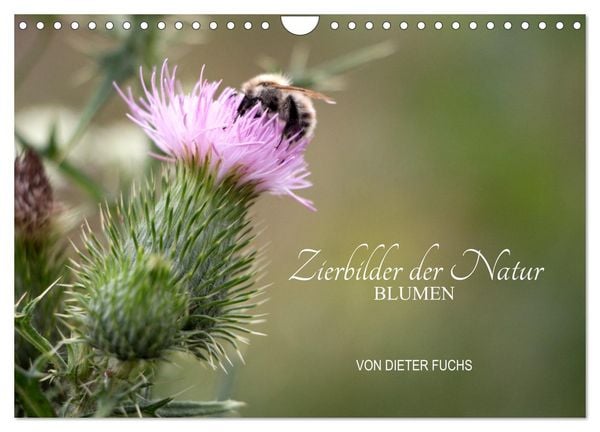 Zierbilder der Natur BLUMEN (Wandkalender 2026 DIN A4 quer), CALVENDO Monatskalender