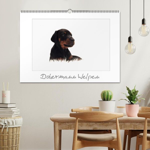Produktbild: Dobermann Welpen (Wandkalender 2026 DIN A2 quer), CALVENDO Monatskalender