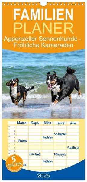 Produktbild: Familienplaner 2026 - Appenzeller Sennenhunde - Fr&ouml;hliche Kameraden mit 5 Spalten (Wandkalender, 21 x 45 cm) CALVENDO