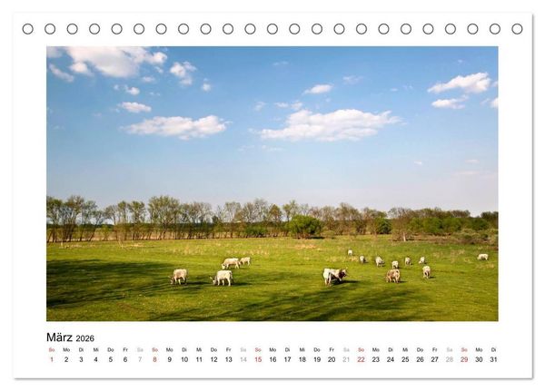 Produktbild: Westungarn - Sch&ouml;nheit und Geheimnis (Tischkalender 2026 DIN A5 quer), CALVENDO Monatskalender
