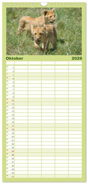 Produktbild: Familienplaner 2026 - Abenteuer Afrika - Im Paradies der Tiere mit 5 Spalten (Wandkalender, 21 x 45 cm) CALVENDO
