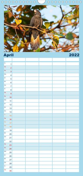 Produktbild: Familienplaner V&ouml;gel von "Down Under" Australien (Wandkalender 2022 , 21 cm x 45 cm, hoch)