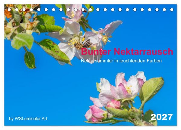 Produktbild: Bunter Nektarrausch - Nektarsammler in leuchtenden Farben (Tischkalender 2027 DIN A5 quer), CALVENDO Monatskalender