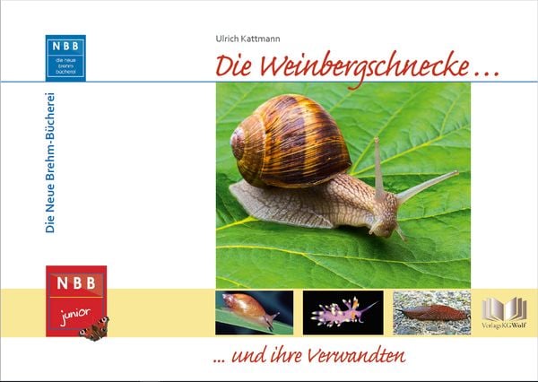 Produktbild: Die Weinbergschnecke und ihre Verwandten
