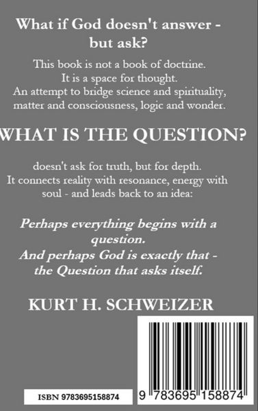Produktbild: What is the question?