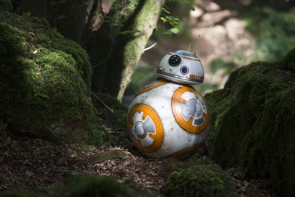 Produktbild: Star Wars - Das Erwachen der Macht - Line Look 2020 (+ Bonus-Blu-ray)