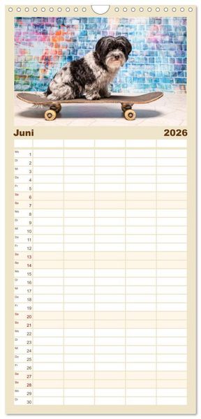 Produktbild: Familienplaner 2026 - Cool Dogs - Hunde-Spa&szlig; im Studio mit 5 Spalten (Wandkalender, 21 x 45 cm) CALVENDO
