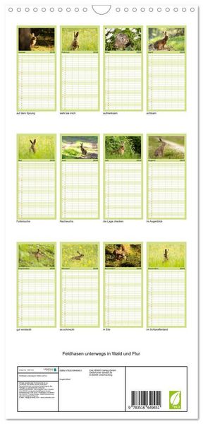 Produktbild: Familienplaner 2026 - Feldhasen unterwegs in Wald und Flur mit 5 Spalten (Wandkalender, 21 x 45 cm) CALVENDO