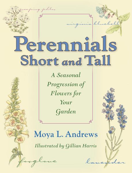 Produktbild: Perennials Short and Tall