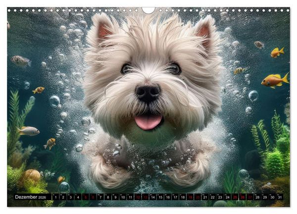 Produktbild: Badespa&szlig; - Hunde unter Wasser (Wandkalender 2026 DIN A3 quer), CALVENDO Monatskalender