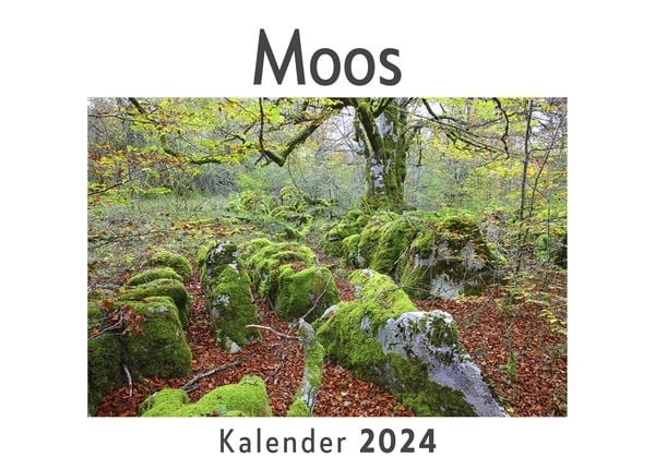 Produktbild: Moos (Wandkalender 2024, Kalender DIN A4 quer, Monatskalender im Querformat mit Kalendarium, Das perfekte Geschenk)