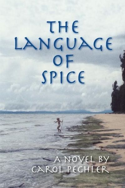 Produktbild: The Language of Spice