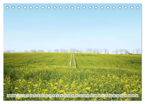 Produktbild: Magisches Ostholstein (Tischkalender 2026 DIN A5 quer), CALVENDO Monatskalender