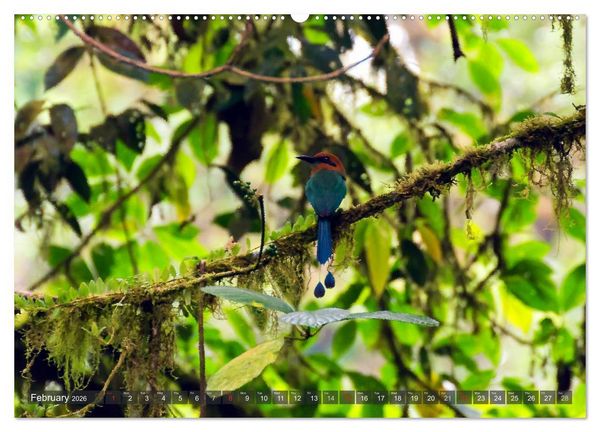 Produktbild: Amazing Costa Rica (High Quality Premium Wall Calendar 2026 DIN A2 landscape),CALVENDO 12 Month Wall Calendar
