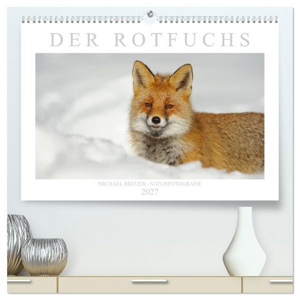 Produktbild: Der Rotfuchs (hochwertiger Premium Wandkalender 2027 DIN A2 quer), Kunstdruck in Hochglanz