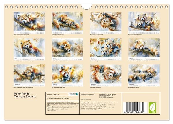 Produktbild: Roter Panda - Tierische Eleganz (Wandkalender 2027 DIN A4 quer), CALVENDO Monatskalender