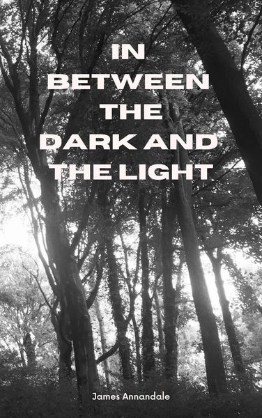 Produktbild: In Between the Dark and the Light
