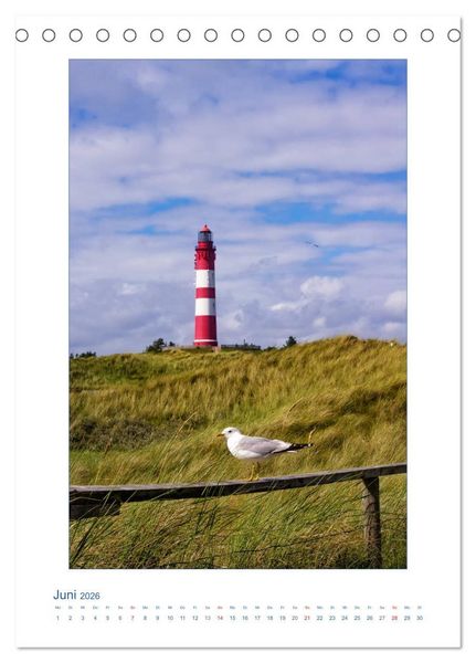 Produktbild: Insel Amrum - Friesische Impressionen (Tischkalender 2026 DIN A5 hoch), CALVENDO Monatskalender