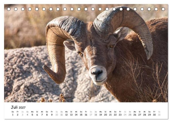 Produktbild: Amerika - Natursch&ouml;nheiten des Westens (Tischkalender 2027 DIN A5 quer), CALVENDO Monatskalender