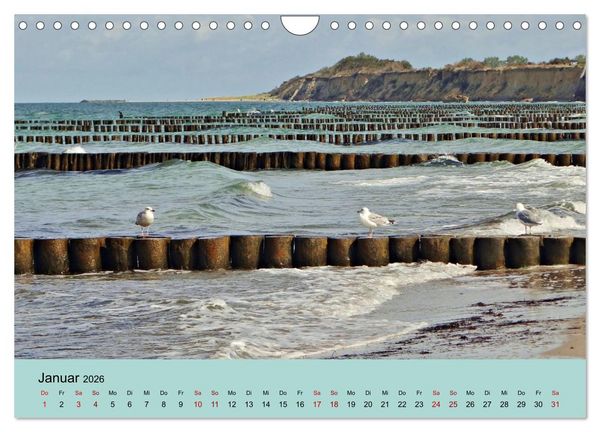 Produktbild: Ostsee von Heringsdorf bis Hiddensee (Wandkalender 2026 DIN A4 quer), CALVENDO Monatskalender