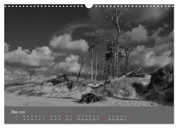 Produktbild: Ostsee - von schwarz bis wei&szlig; (Wandkalender 2026 DIN A3 quer), CALVENDO Monatskalender