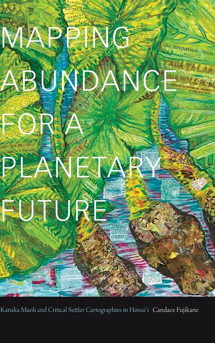 Produktbild: Mapping Abundance for a Planetary Future