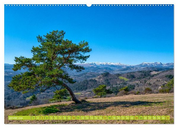Produktbild: Solitude verdoyante (Calendrier mural 2026 DIN A2 vertical), CALVENDO calendrier mensuel