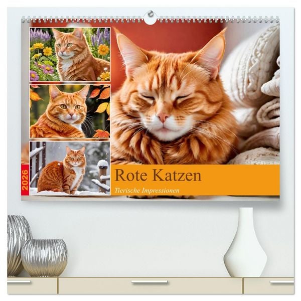 Rote Katzen (hochwertiger Premium Wandkalender 2026 DIN A2 quer), Kunstdruck in Hochglanz