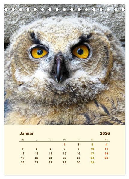 Produktbild: Uhu, die Faszination bernsteinfarbener Augen (Tischkalender 2026 DIN A5 hoch), CALVENDO Monatskalender