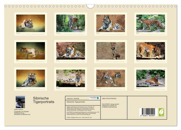 Produktbild: Sibirische Tigerportraits (Wandkalender 2026 DIN A3 quer), CALVENDO Monatskalender