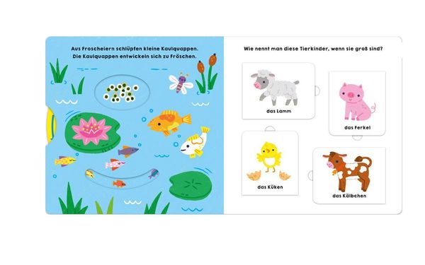 Produktbild: Gl&uuml;cksfisch: Alles w&auml;chst!