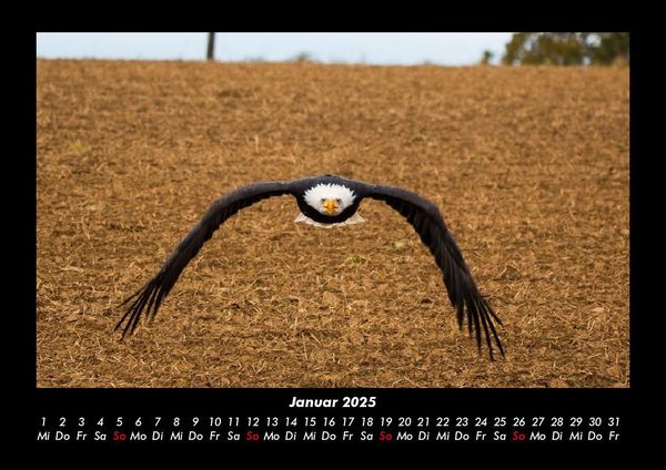 Produktbild: Adler 2025 Fotokalender DIN A3