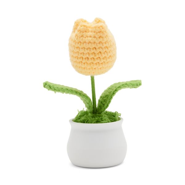 Produktbild: H&auml;kelblume, sortiert - 1 St&uuml;ck