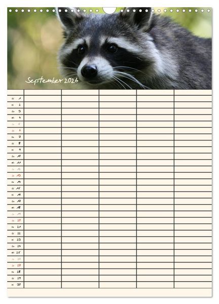 Produktbild: Waschb&auml;ren Familienplaner (Wandkalender 2026 DIN A3 hoch), CALVENDO Monatskalender