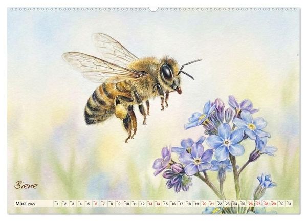 Produktbild: Kleine Wunder in Aquarell - Heimische Insekten kunstvoll illustriert (hochwertiger Premium Wandkalender 2027 DIN A2 quer), Kunstdruck in Hochglanz