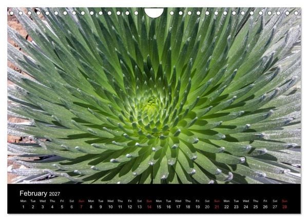 Produktbild: Paradise on Earth HAWAII (Wall Calendar 2027 DIN A4 landscape), CALVENDO 12 Month Wall Calendar