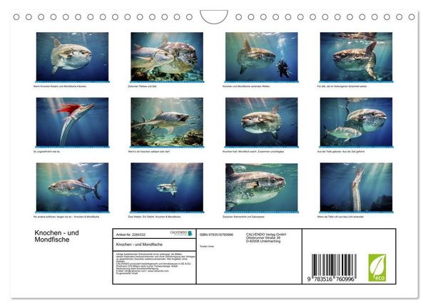 Produktbild: Knochen - und Mondfische (Wandkalender 2027 DIN A4 quer), CALVENDO Monatskalender