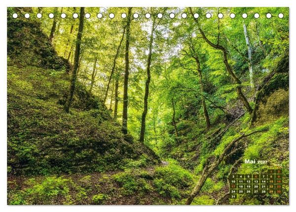 Produktbild: Waldspazierg&auml;nge: Entspannen - Kraft tanken - Besinnen auf sich selbst (Tischkalender 2027 DIN A5 quer), CALVENDO Monatskalender